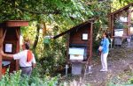 Le Clos Des Abeilles – Hoyoux Famil Sca